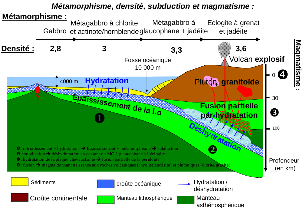 2.2 La dynamique de la lithosphère